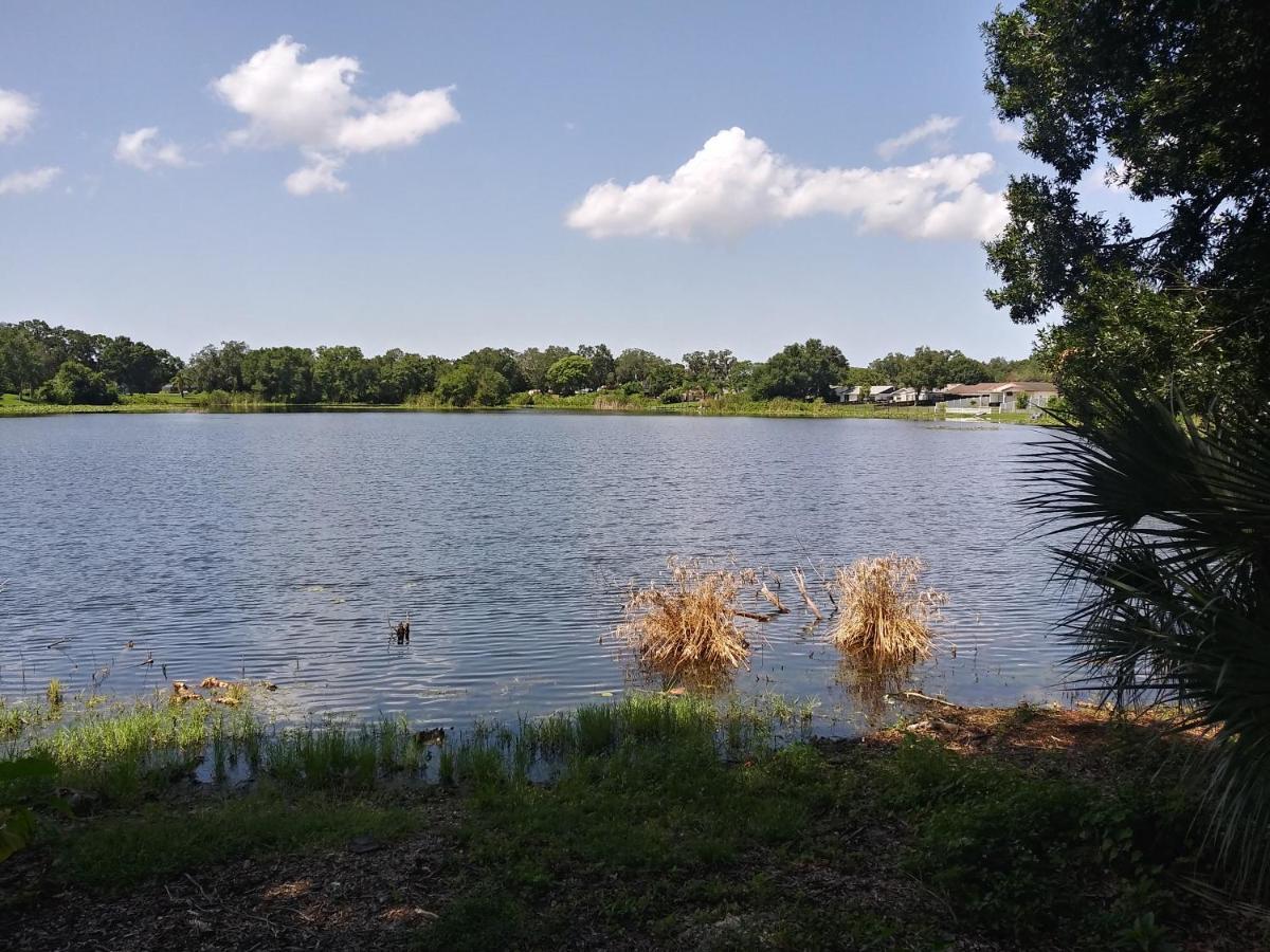 Tampa Citrus Park Leilighet Eksteriør bilde